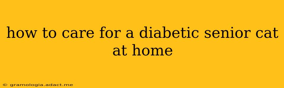 how to care for a diabetic senior cat at home