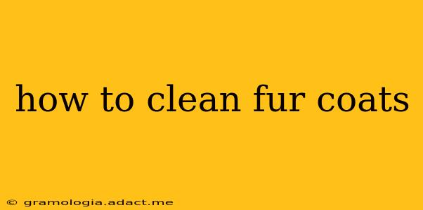how to clean fur coats