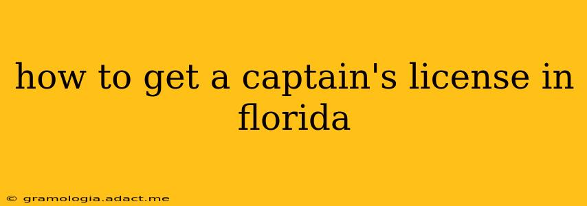 how to get a captain's license in florida