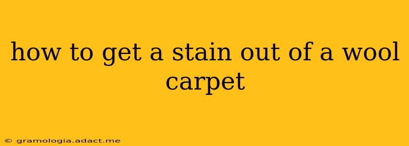how to get a stain out of a wool carpet
