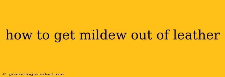 how to get mildew out of leather