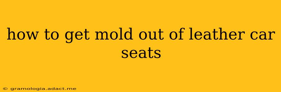 how to get mold out of leather car seats