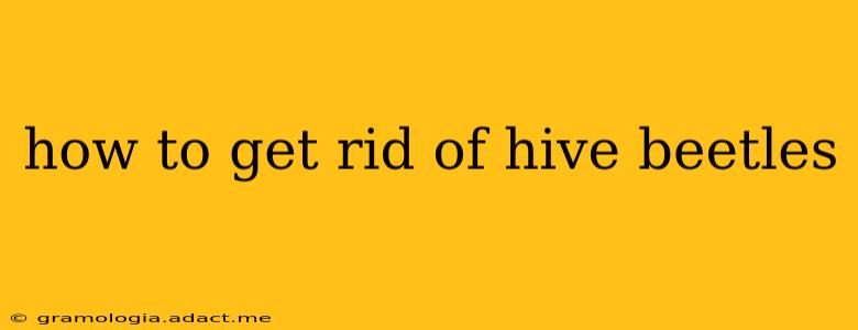 how to get rid of hive beetles