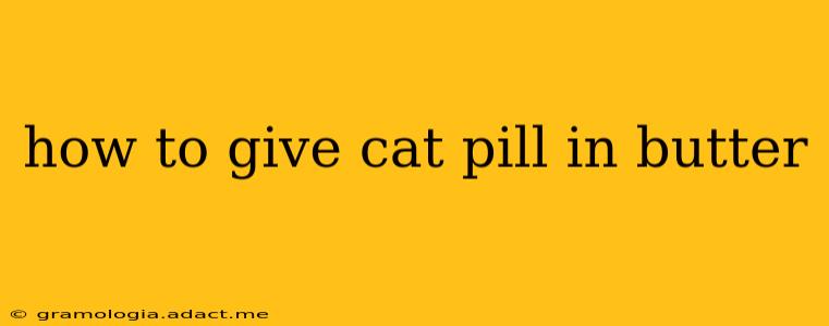 how to give cat pill in butter