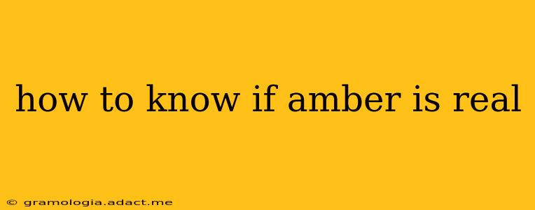 how to know if amber is real