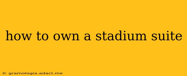 how to own a stadium suite