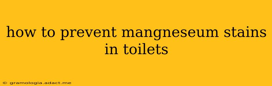 how to prevent mangneseum stains in toilets
