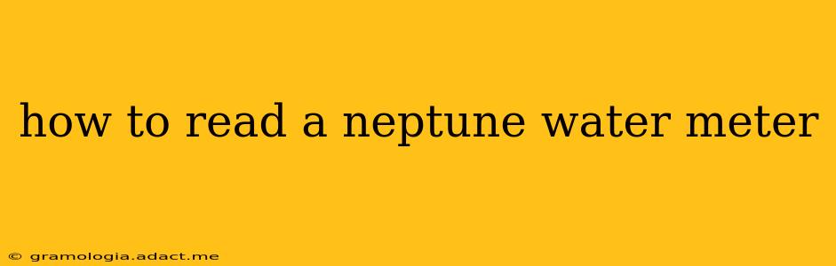 how to read a neptune water meter