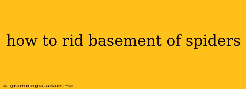 how to rid basement of spiders
