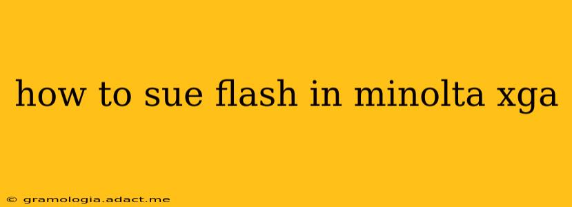 how to sue flash in minolta xga