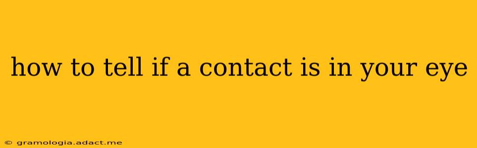 how to tell if a contact is in your eye