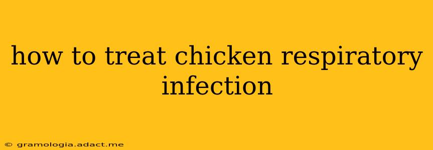 how to treat chicken respiratory infection