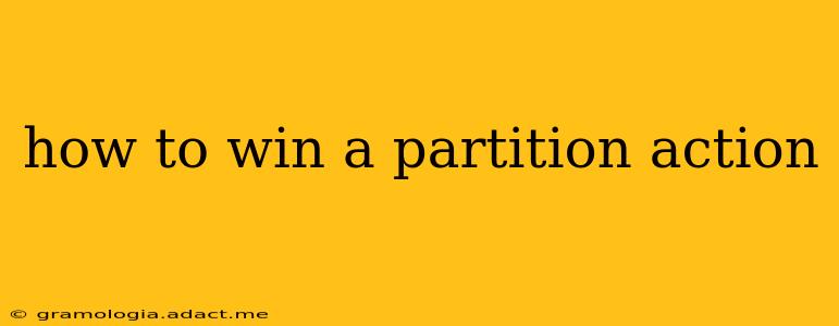 how to win a partition action