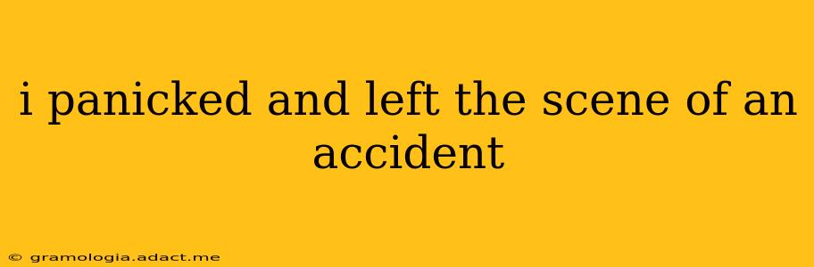 i panicked and left the scene of an accident