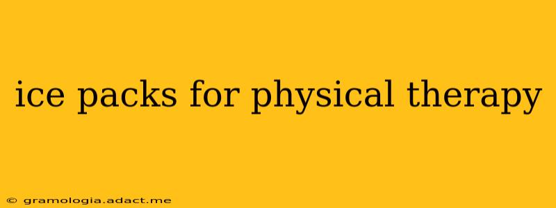ice packs for physical therapy