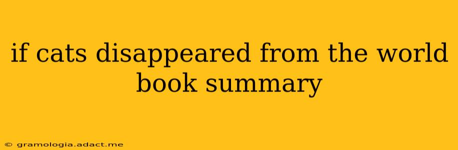 if cats disappeared from the world book summary