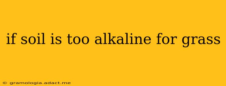 if soil is too alkaline for grass