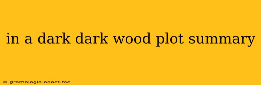 in a dark dark wood plot summary
