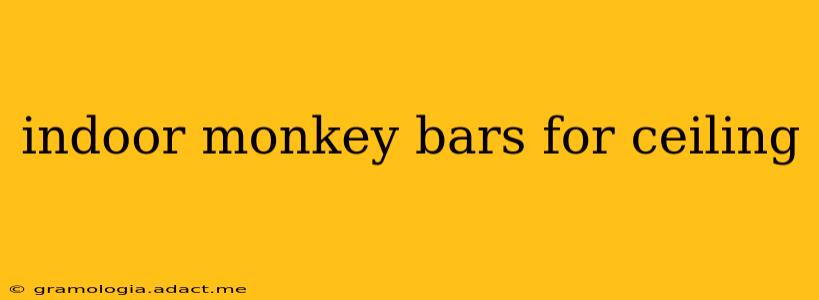 indoor monkey bars for ceiling