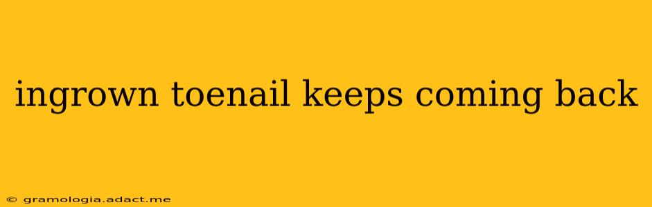 ingrown toenail keeps coming back
