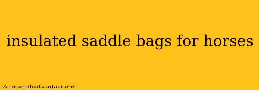 insulated saddle bags for horses