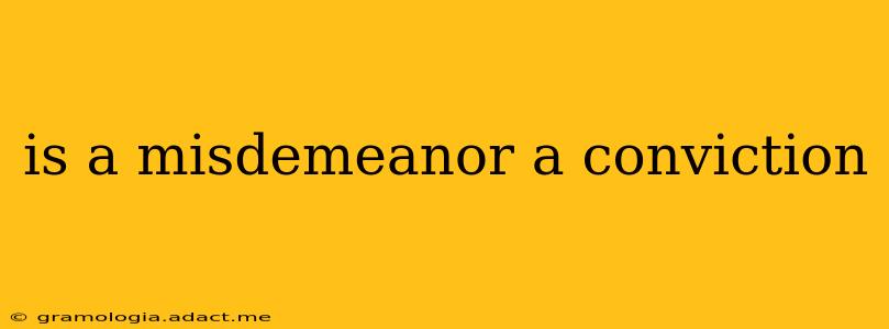 is a misdemeanor a conviction