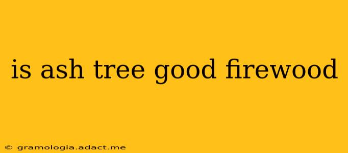 is ash tree good firewood
