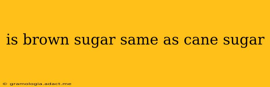 is brown sugar same as cane sugar