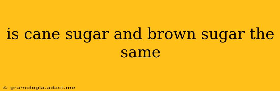 is cane sugar and brown sugar the same