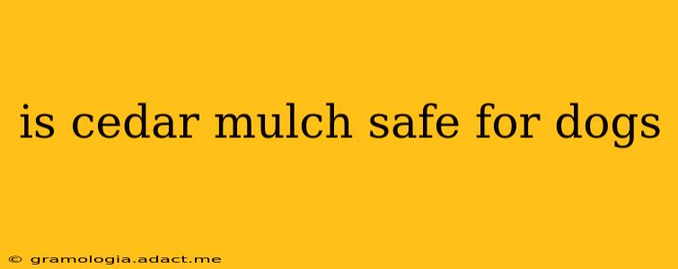is cedar mulch safe for dogs