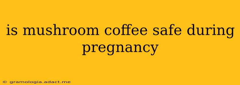 is mushroom coffee safe during pregnancy