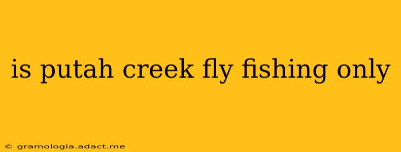 is putah creek fly fishing only