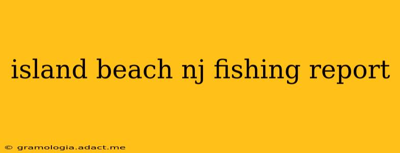 island beach nj fishing report