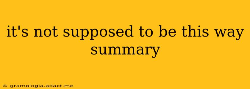 it's not supposed to be this way summary