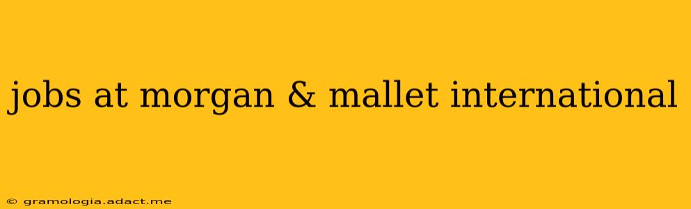 jobs at morgan & mallet international