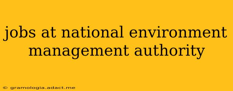jobs at national environment management authority
