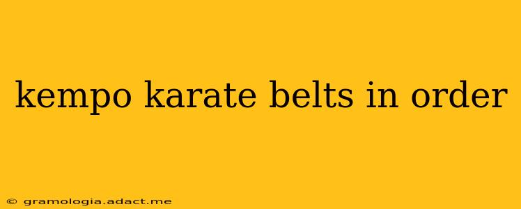 kempo karate belts in order