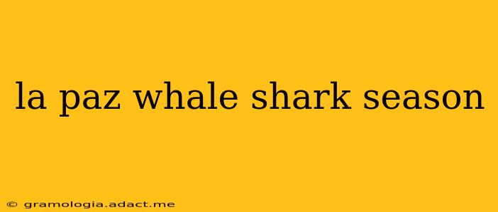 la paz whale shark season