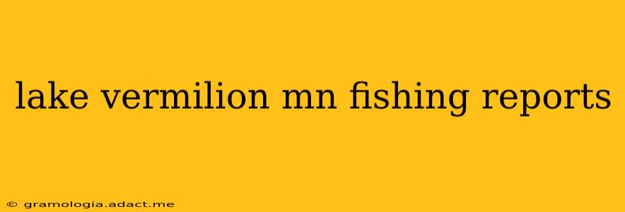 lake vermilion mn fishing reports
