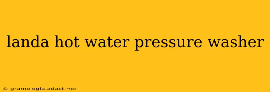 landa hot water pressure washer