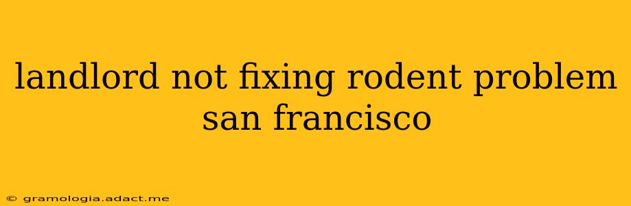landlord not fixing rodent problem san francisco