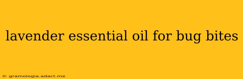 lavender essential oil for bug bites