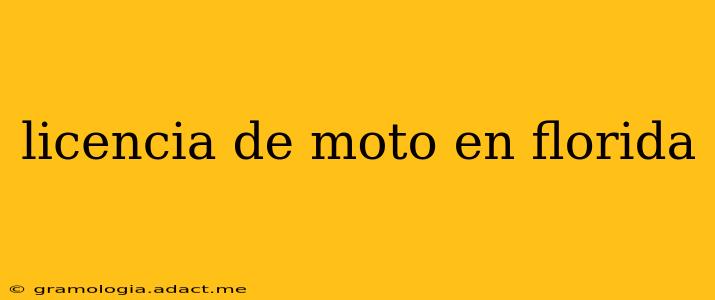 licencia de moto en florida