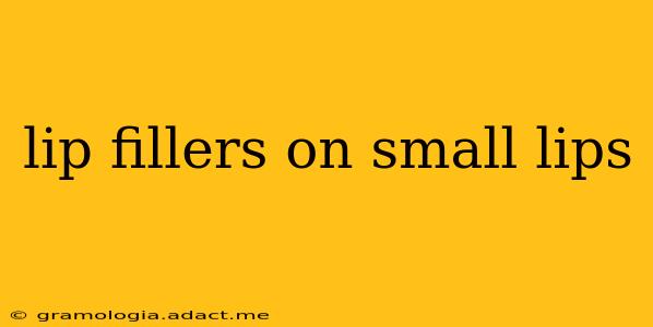 lip fillers on small lips