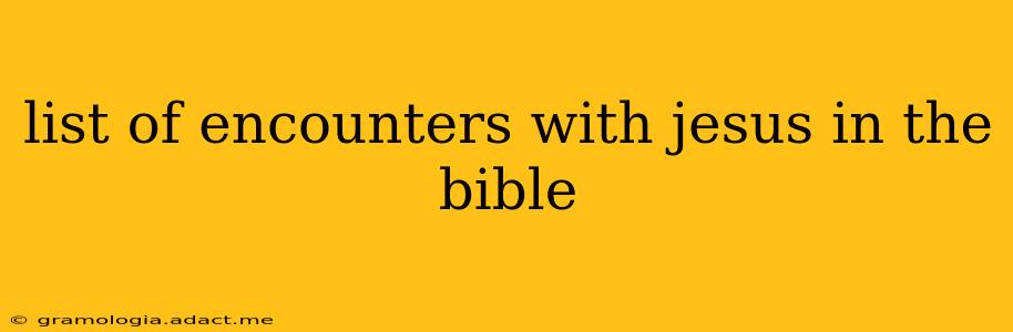 list of encounters with jesus in the bible