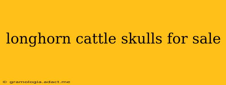 longhorn cattle skulls for sale