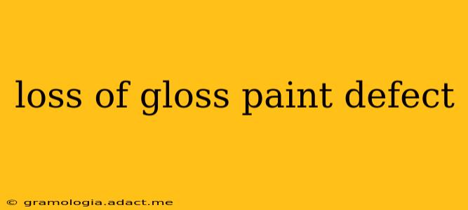 loss of gloss paint defect