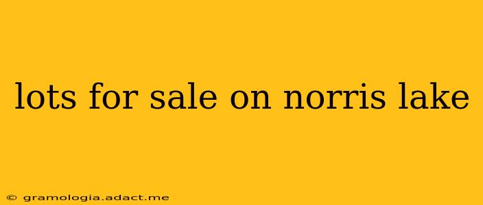 lots for sale on norris lake