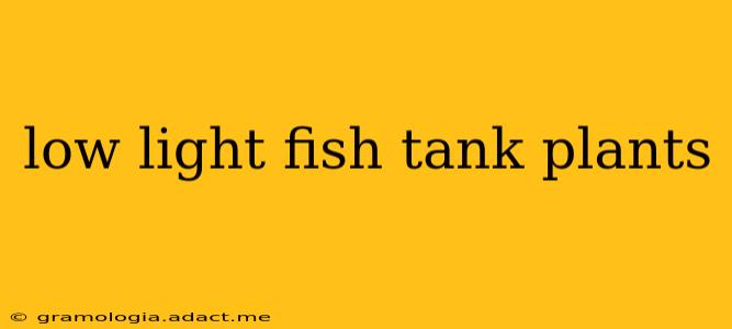 low light fish tank plants