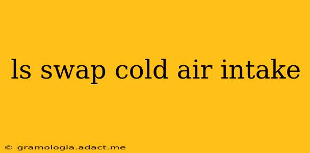 ls swap cold air intake